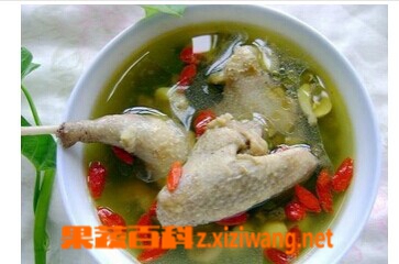 果蔬百科鸽子汤