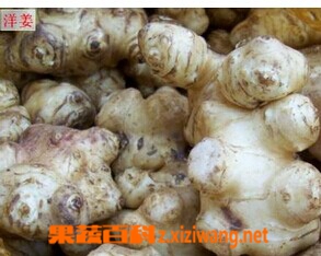 果蔬百科洋姜腌
