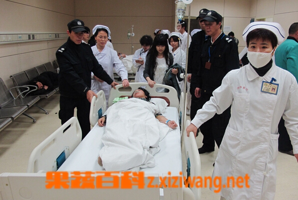 果蔬百科食物中毒应急预案