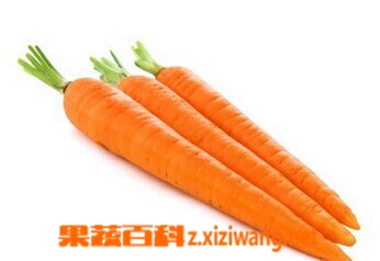 果蔬百科胡萝卜