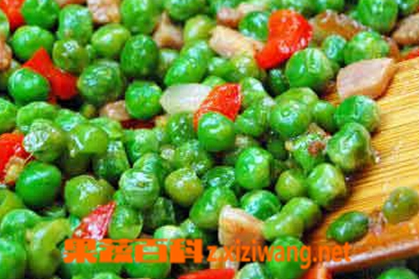 果蔬百科青豌豆