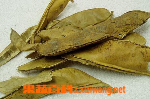 果蔬百科刀豆壳