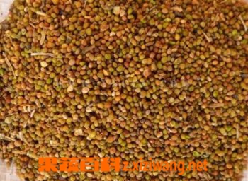 治疗阳痿的药酒如何做 治疗阳痿药酒材料和做法