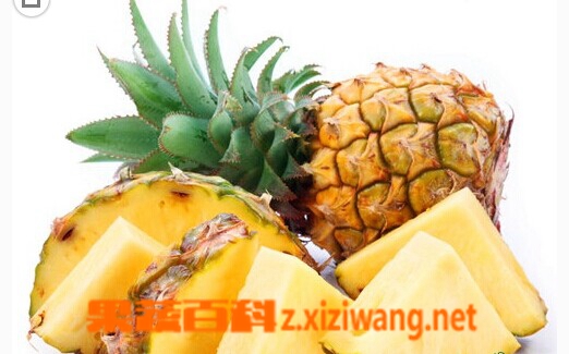 果蔬百科凤梨和菠萝