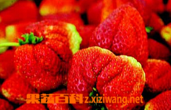 果蔬百科激素水果
