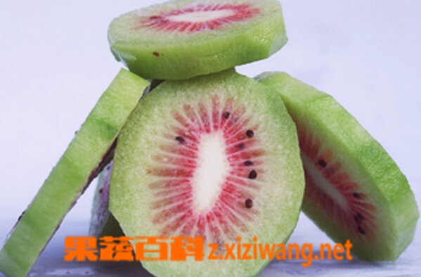 果蔬百科楚红猕猴桃