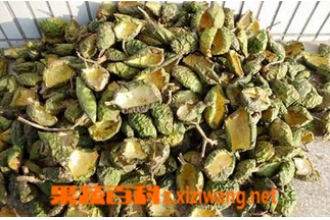 瓜萎皮的功效与作用