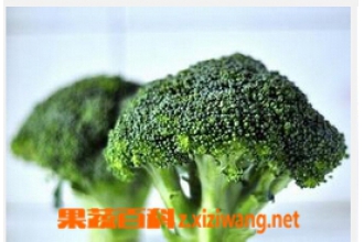 青花菜图片 青花菜的营养价值