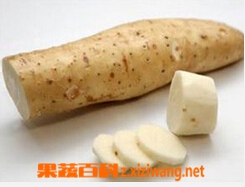 果蔬百科山药