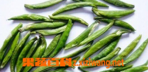 果蔬百科竹叶青