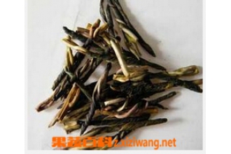 苦丁茶的功效与作用 苦丁茶的副作用