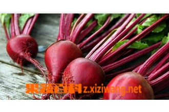 红菜头是什么 红菜头的功效