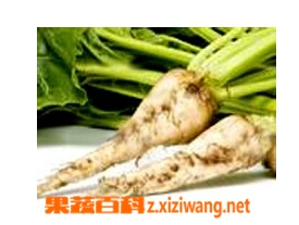 果蔬百科叶用甜菜