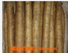 果蔬百科野山药
