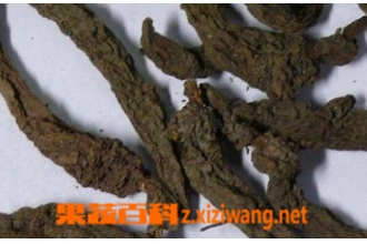 红大戟的功效与作用