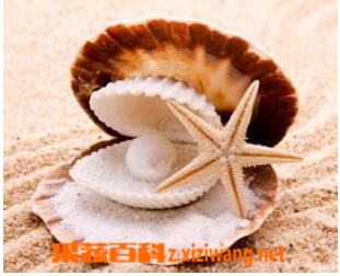 果蔬百科珍珠