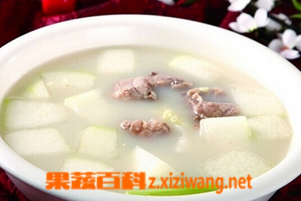 果蔬百科冬瓜排骨汤
