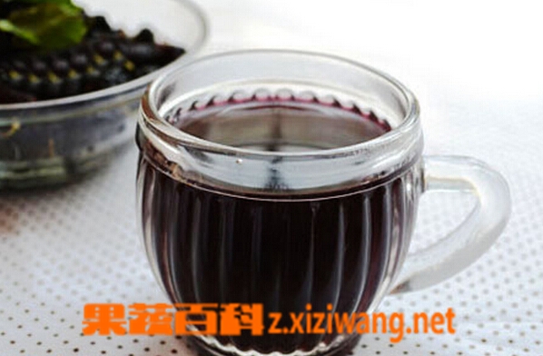 果蔬百科桑葚汁
