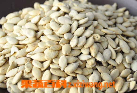果蔬百科冬瓜子提取物