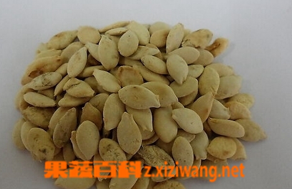 果蔬百科冬瓜子