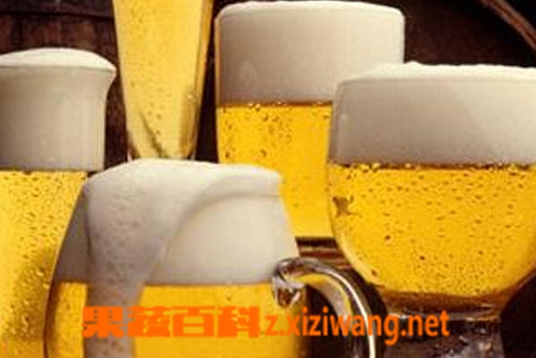 果蔬百科制备麦芽汁