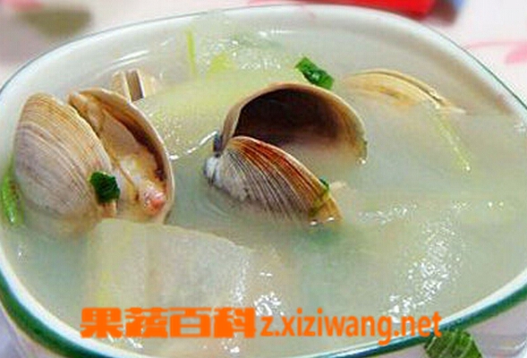 果蔬百科冬瓜汤