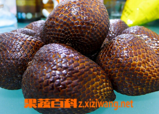 果蔬百科蛇皮果
