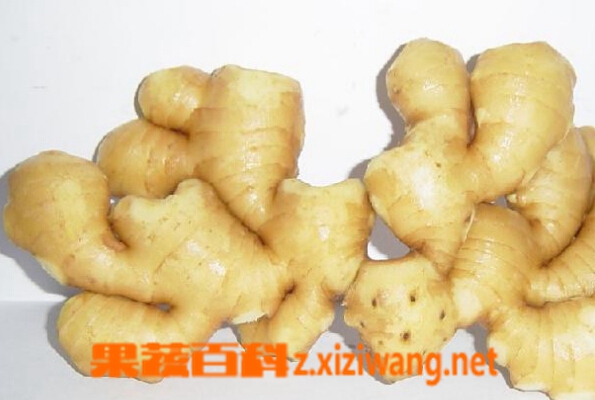 果蔬百科姜汁洗头