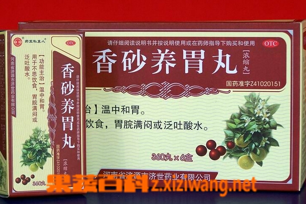 果蔬百科肠胃不好吃什么中药
