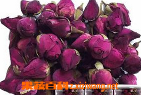 果蔬百科月季花的泡法