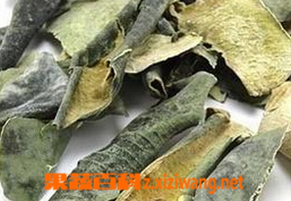 果蔬百科干冬瓜皮