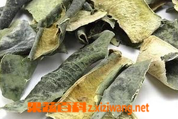 果蔬百科干冬瓜皮