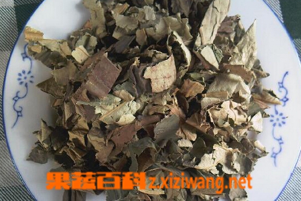 果蔬百科冬瓜荷叶茶