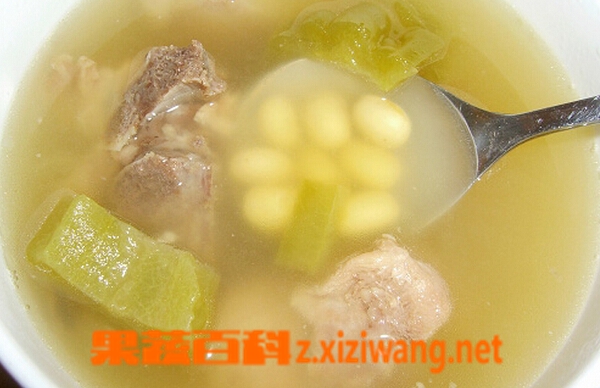 果蔬百科冬瓜黄豆排骨汤