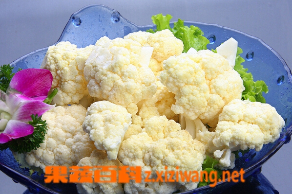 果蔬百科花菜