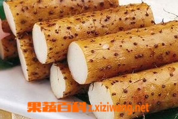 果蔬百科山药
