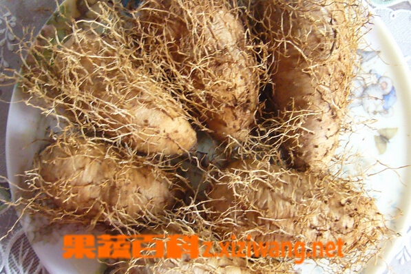 果蔬百科铁蛋山药