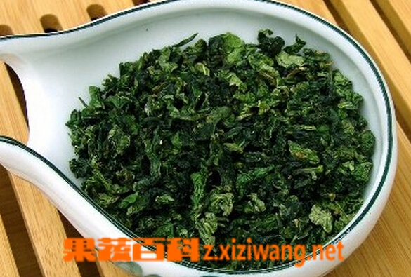 果蔬百科安溪铁观音
