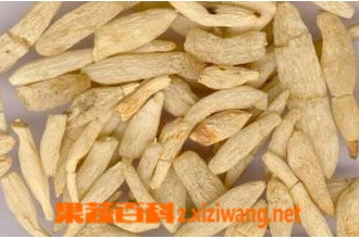 麦冬功效与作用 麦冬图片