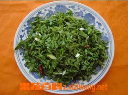 果蔬百科灰灰菜