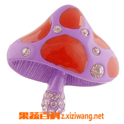 果蔬百科紫色