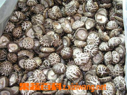 果蔬百科干蘑菇