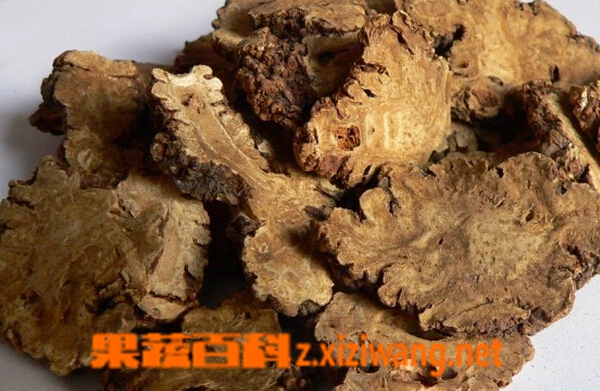 果蔬百科川芎