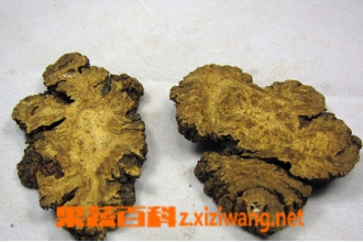 中药酒川芎的功效与作用