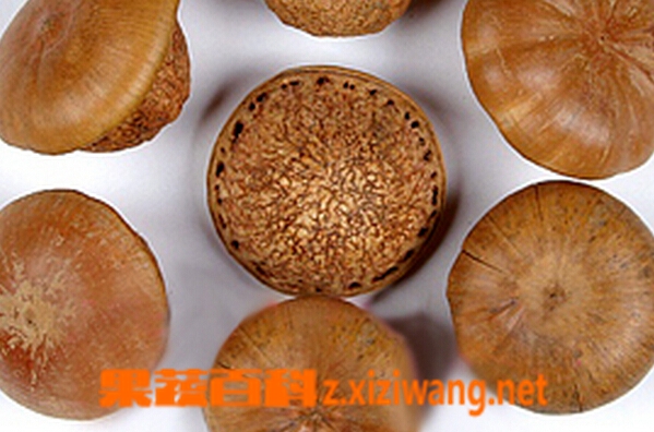果蔬百科壮阳果