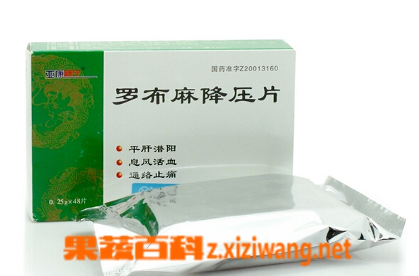 果蔬百科罗布麻片