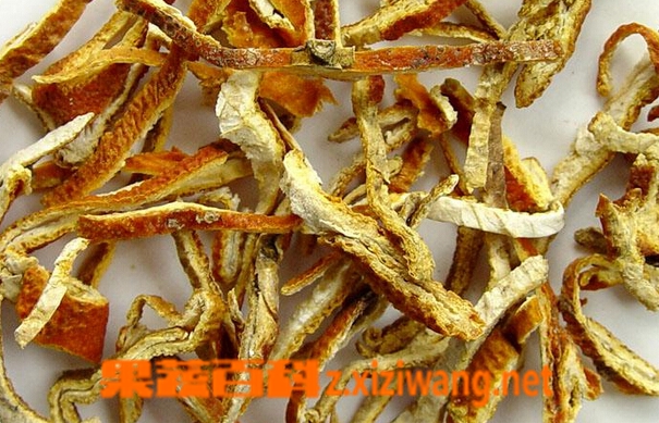 果蔬百科陈皮