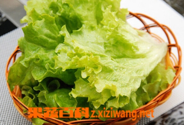 果蔬百科生菜怎么清洗