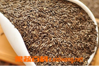 生菜籽的功效与作用