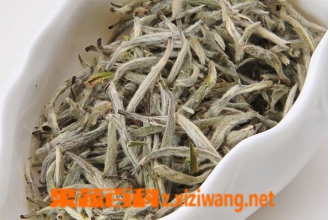 福鼎白茶怎么喝 福鼎白茶泡法技巧